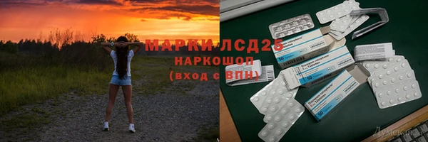 сатива Лабытнанги