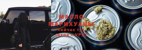 сатива Лабытнанги