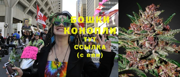 сатива Лабытнанги