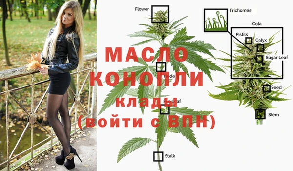сатива Лабытнанги