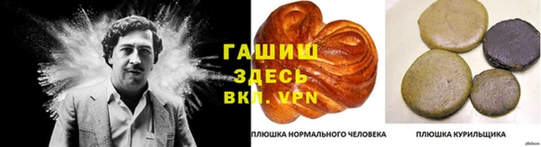 сатива Лабытнанги