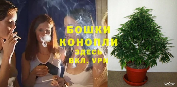сатива Лабытнанги