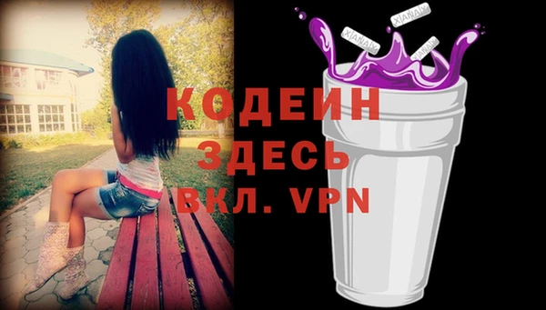сатива Лабытнанги