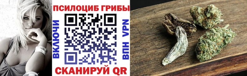 Псилоцибиновые грибы мухоморы купить наркотики цена Протвино