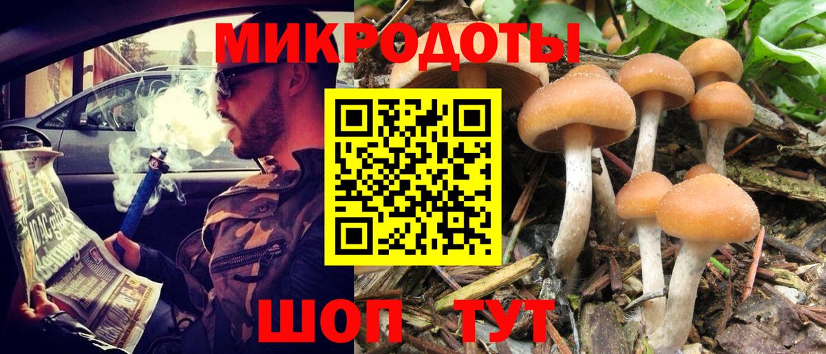 Галлюциногенные грибы Magic Shrooms Протвино