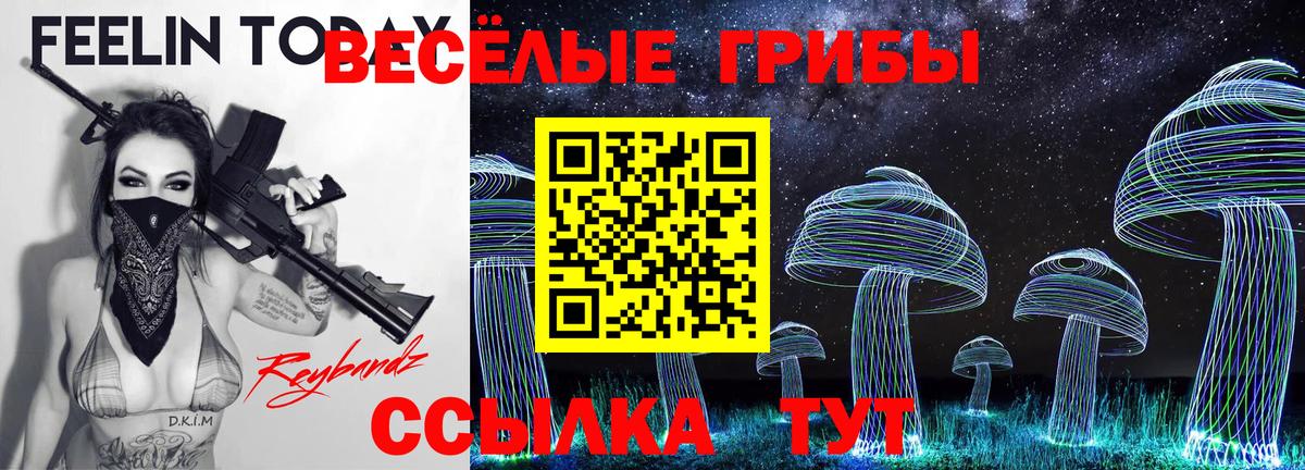 Псилоцибиновые грибы MAGIC MUSHROOMS  Вход с VPN  Протвино 