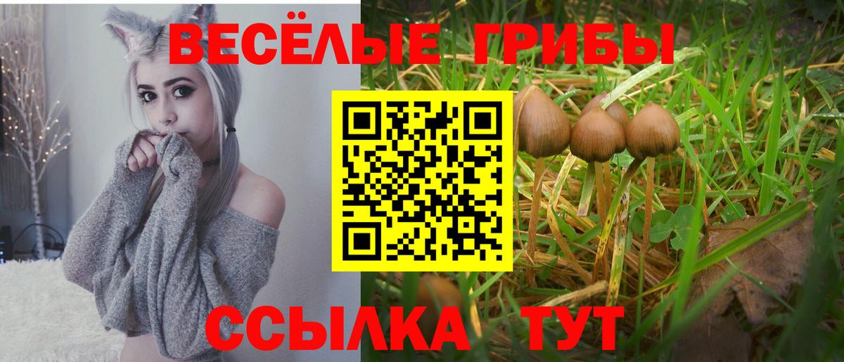 Галлюциногенные грибы MAGIC MUSHROOMS  Псилоцибиновые грибы ЛСД  Протвино  Вход с VPN 